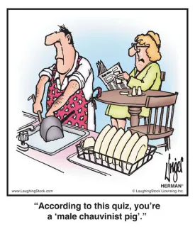 According to this quiz, you’re a ‘male chauvinist pig’.