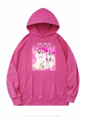 Alpha Male Y2K Washed Hoodie Cherrykitten