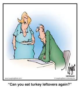 Can you eat turkey leftovers again?